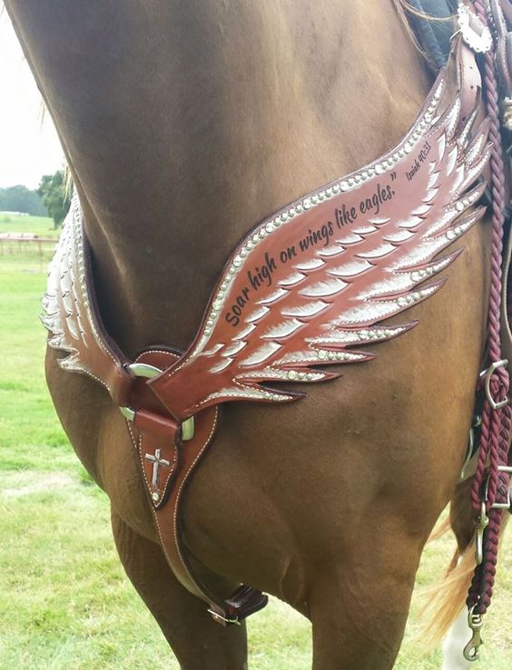 Horse Tack